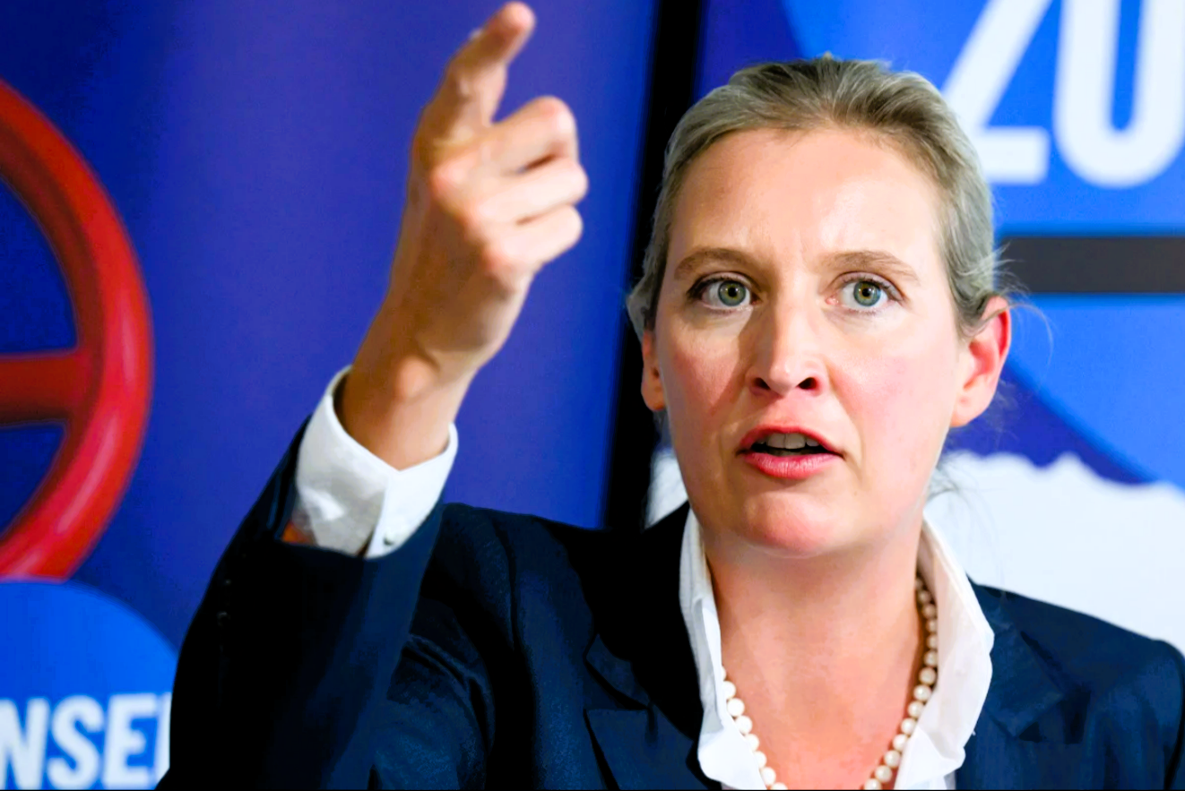 Debakel für AfD und die Grünen - Umfrage zeigt, die - diese Parteien befinden sich bei den Wählern im Sturzflug!