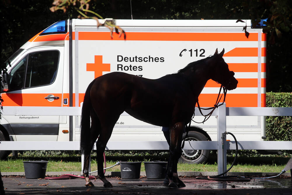 Tragödie auf der Insel Usedom: Autofahrer rast in Reitergruppe - Mädchen schwer verletzt, Pferd stirbt