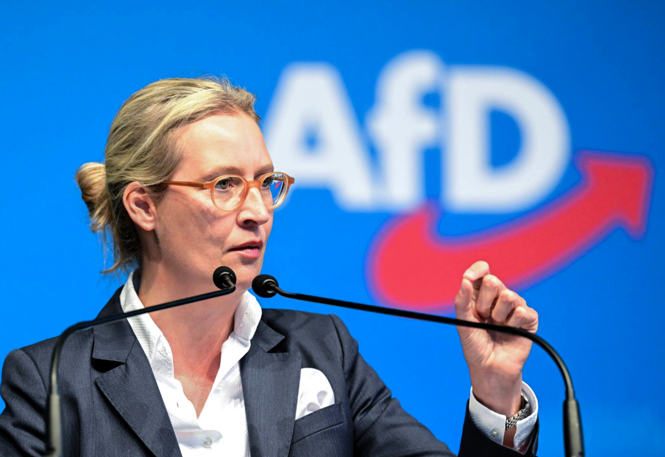 Millionen-Strafe für die AfD! Schwere Verstöße gegen das Parteiengesetz 