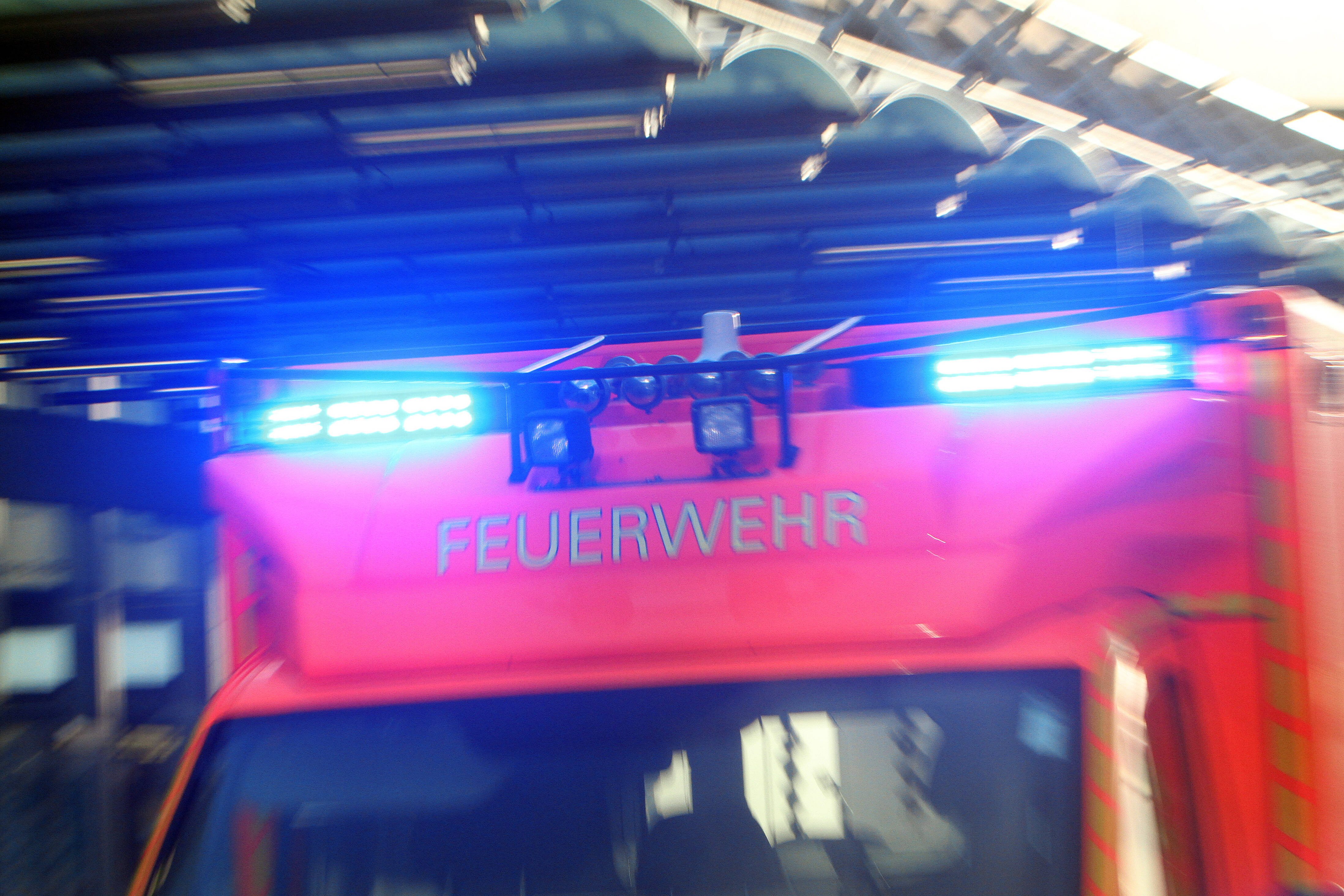 Mann in eigener Wohnung von seinen Hunden zerfleischt!